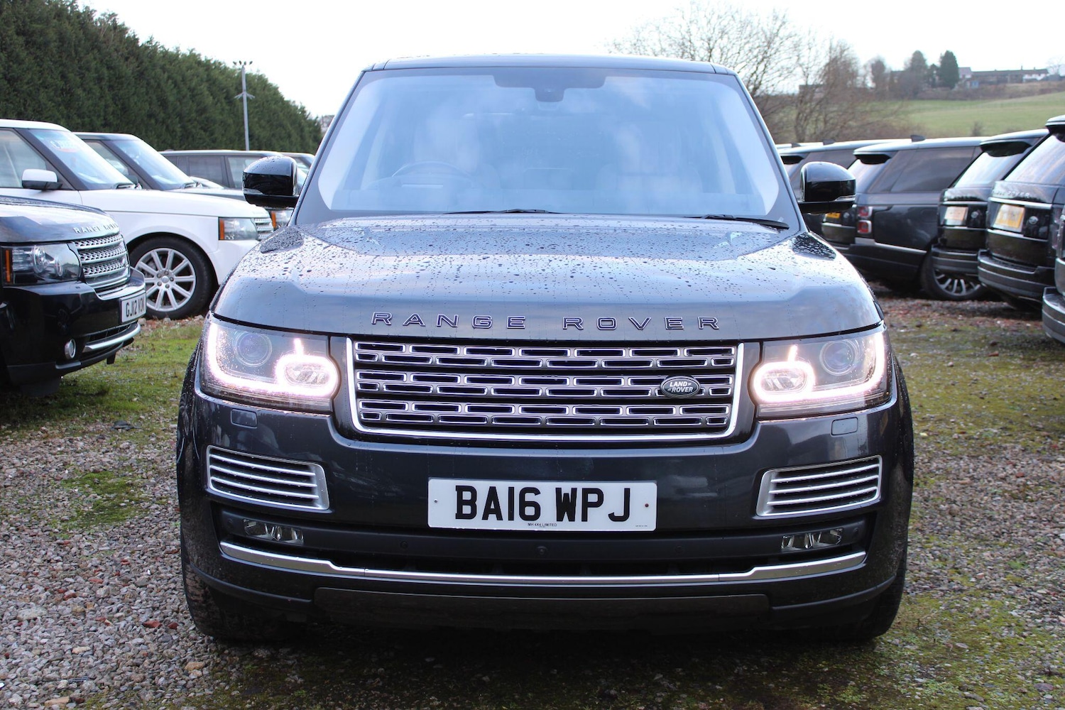 Used Land Rover Range Rover 2016 for sale - 76865993: Photo 57
