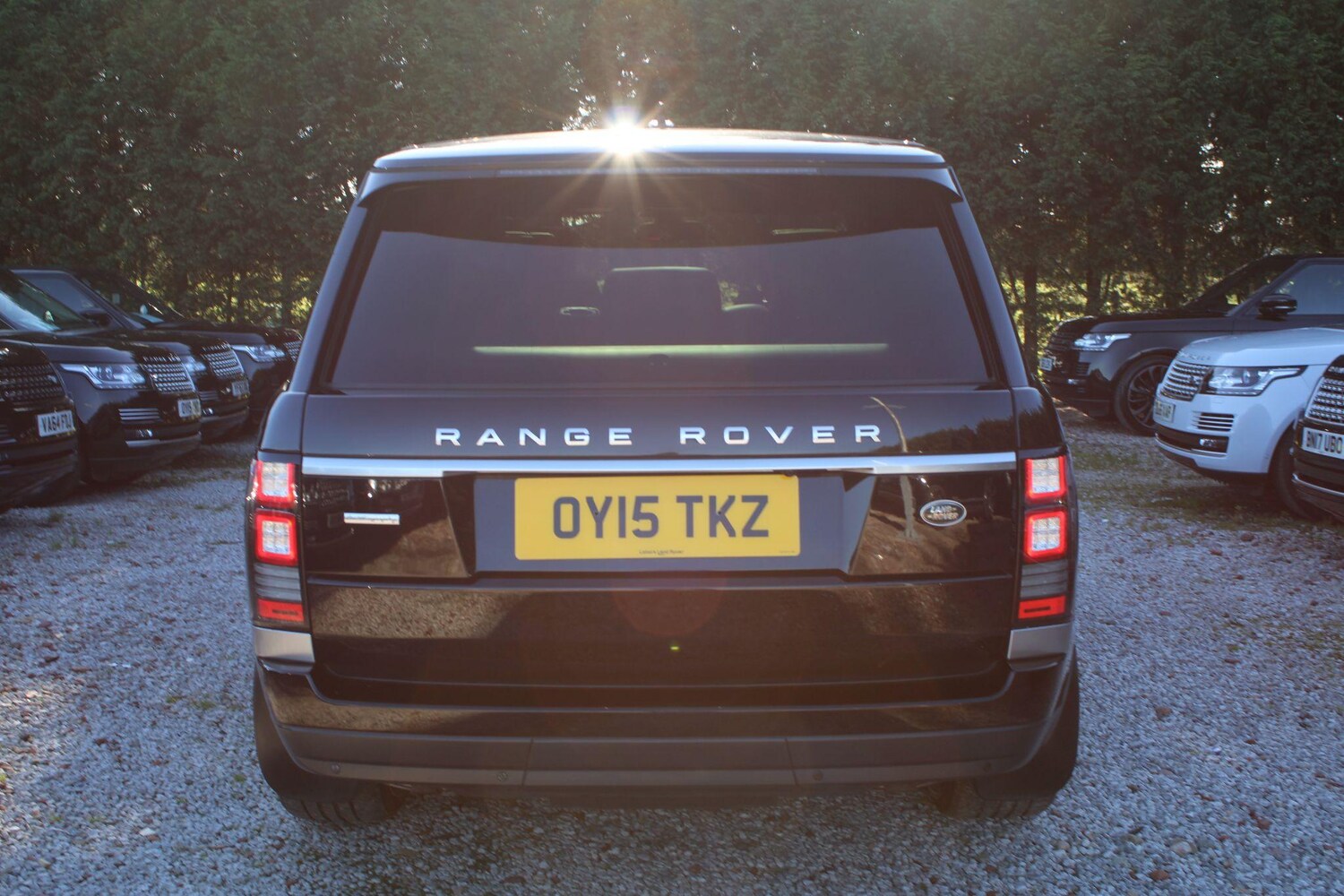 Vehicle 49