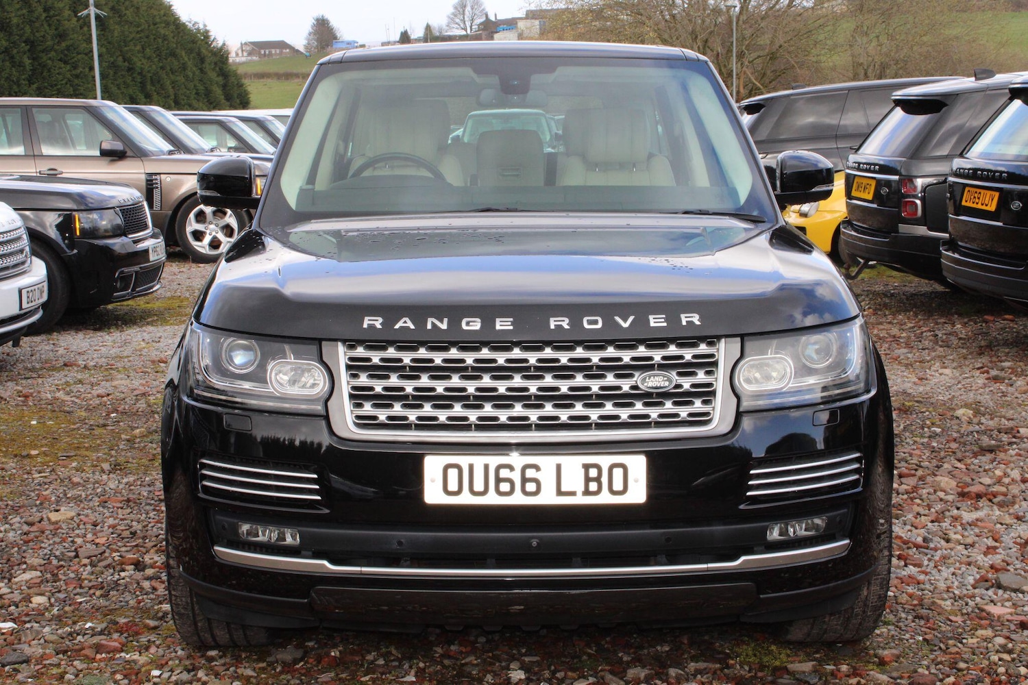 Used Land Rover Range Rover 2016 for sale - 78058569: Photo 2