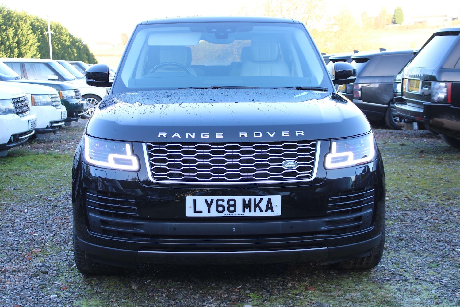 Used Land Rover Range Rover 2018 for sale - 76823587: Photo 50