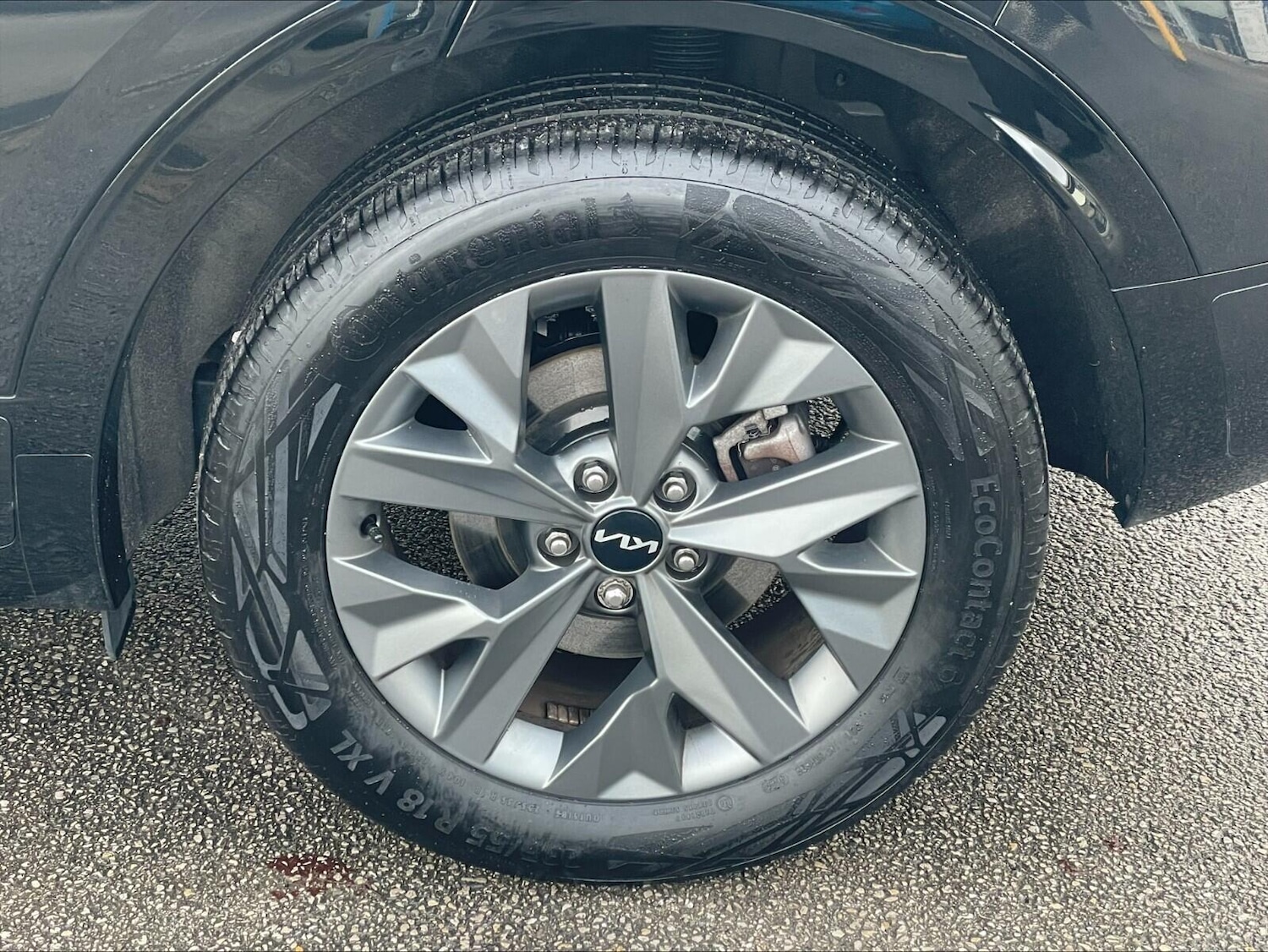 Used Kia Sportage 2025 for sale - 77156736: Photo 10