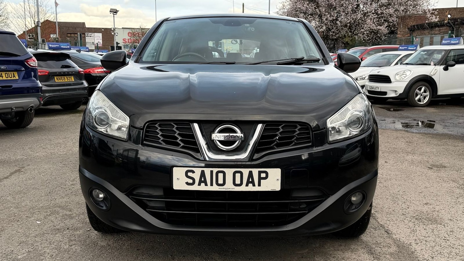 Used Nissan Qashqai 2010 for sale - 77841714: Photo 8