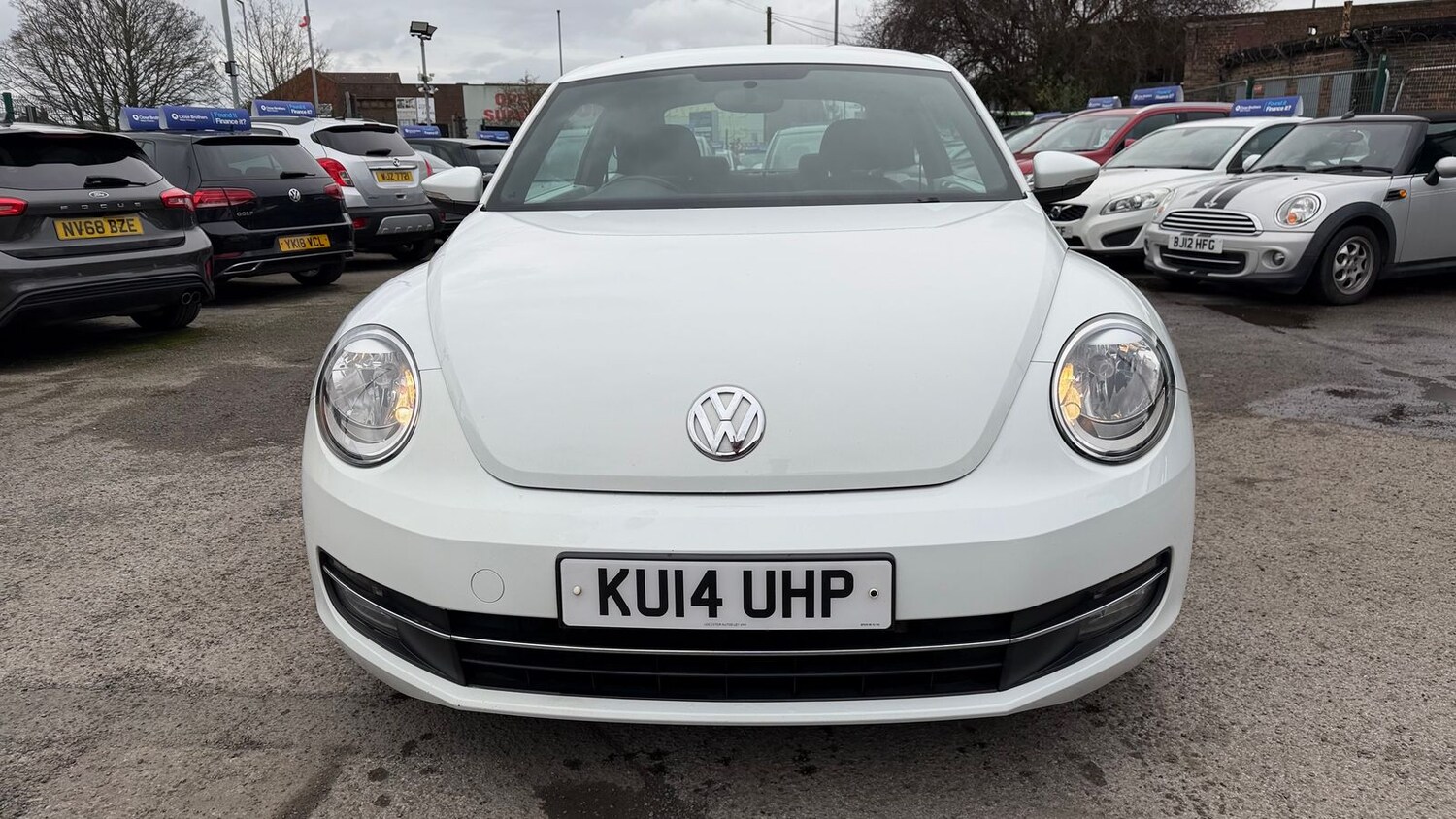Used Volkswagen Beetle 2014 for sale - 77648224: Photo 33