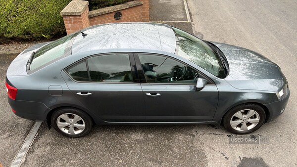 Used Skoda Octavia 2016 for sale - 76285059: Photo 14