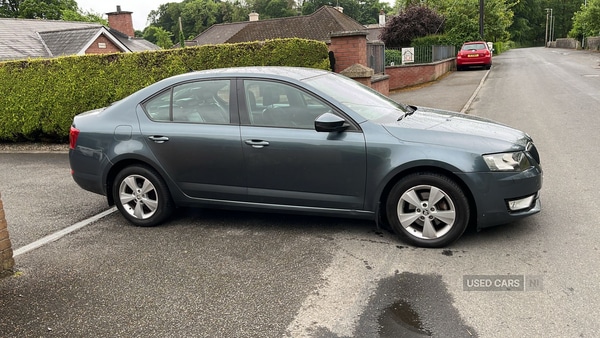 Used Skoda Octavia 2016 for sale - 76285059: Photo 3