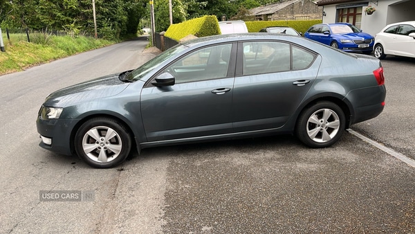 Used Skoda Octavia 2016 for sale - 76285059: Photo 4