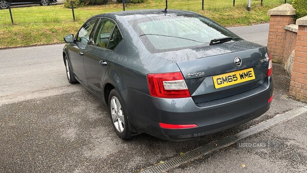 Used Skoda Octavia 2016 for sale - 76285059: Photo 5