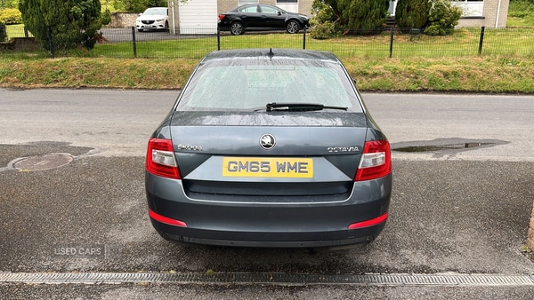 Used Skoda Octavia 2016 for sale - 76285059: Photo 6