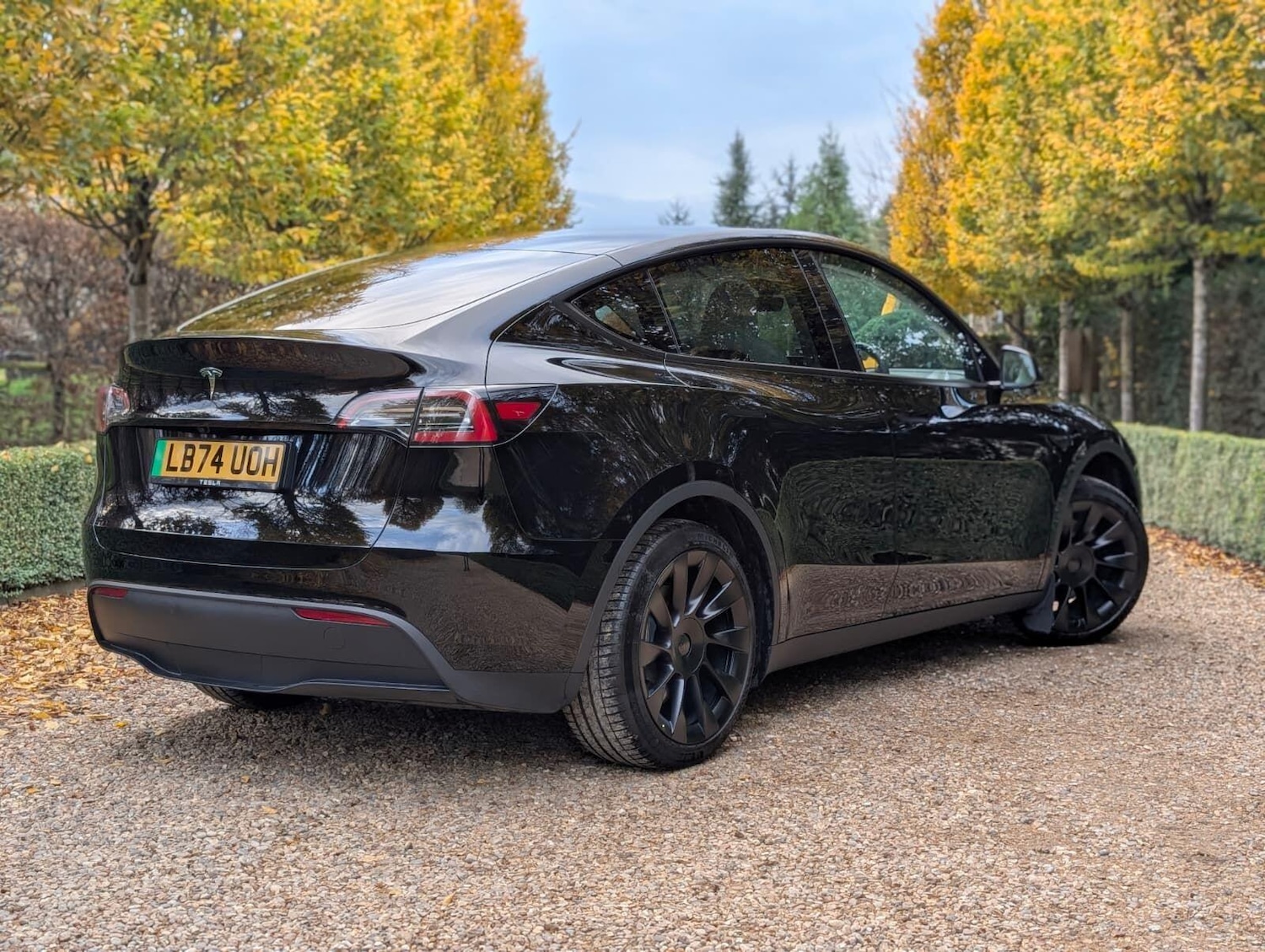 Used Tesla Model Y 2024 for sale - 76866172: Photo 6