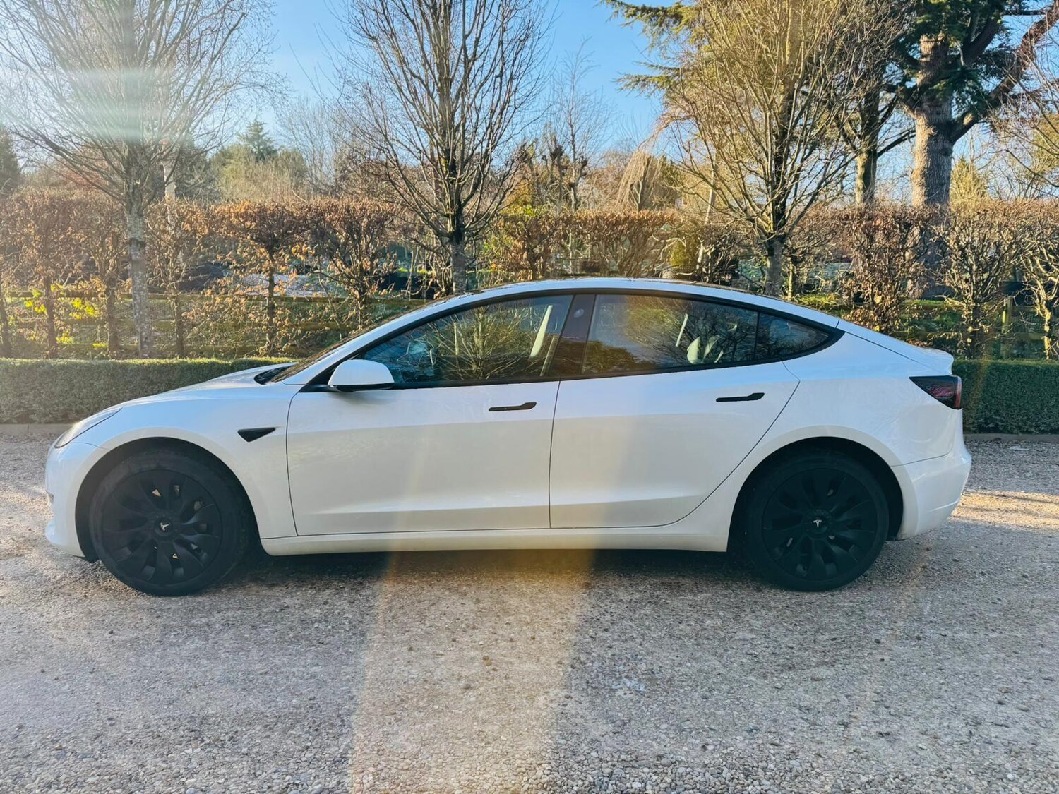Used Tesla Model 3 for sale - 77783136: Photo 8