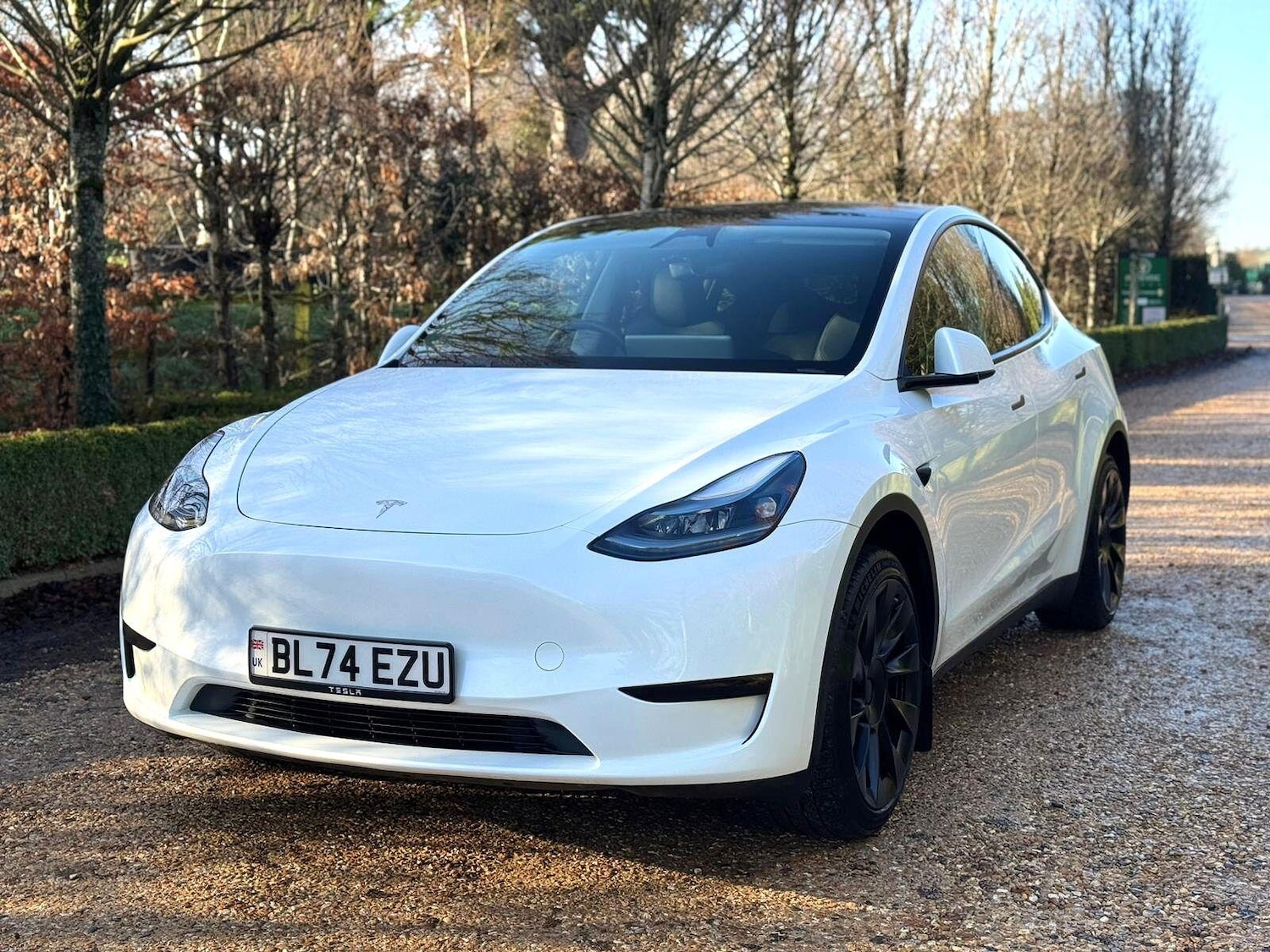 Used Tesla Model Y for sale - 77738262: Photo 2