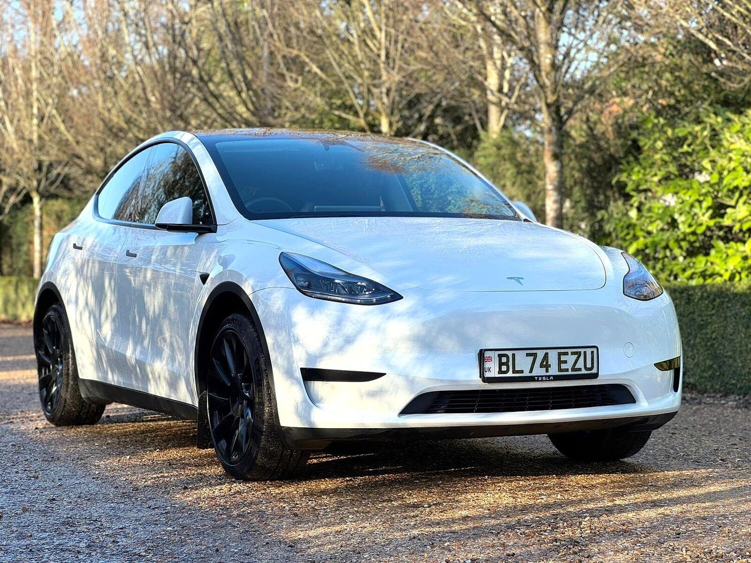 Used Tesla Model Y for sale - 77738262: Photo 31
