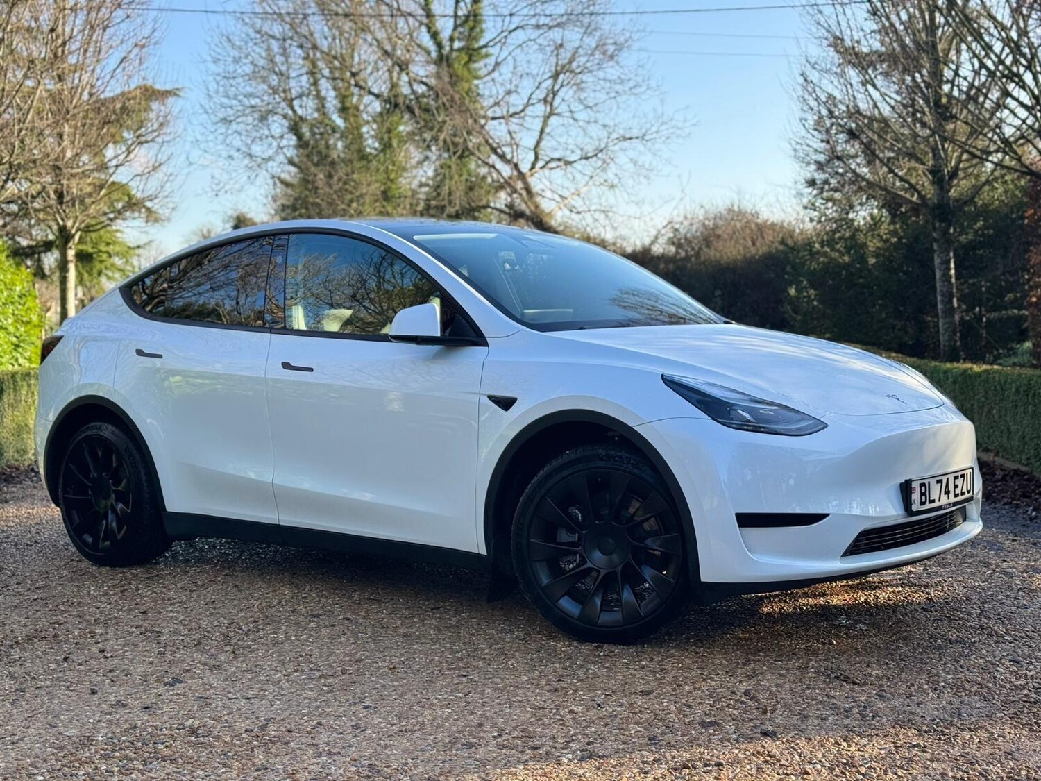 Used Tesla Model Y for sale - 77738262: Photo 32