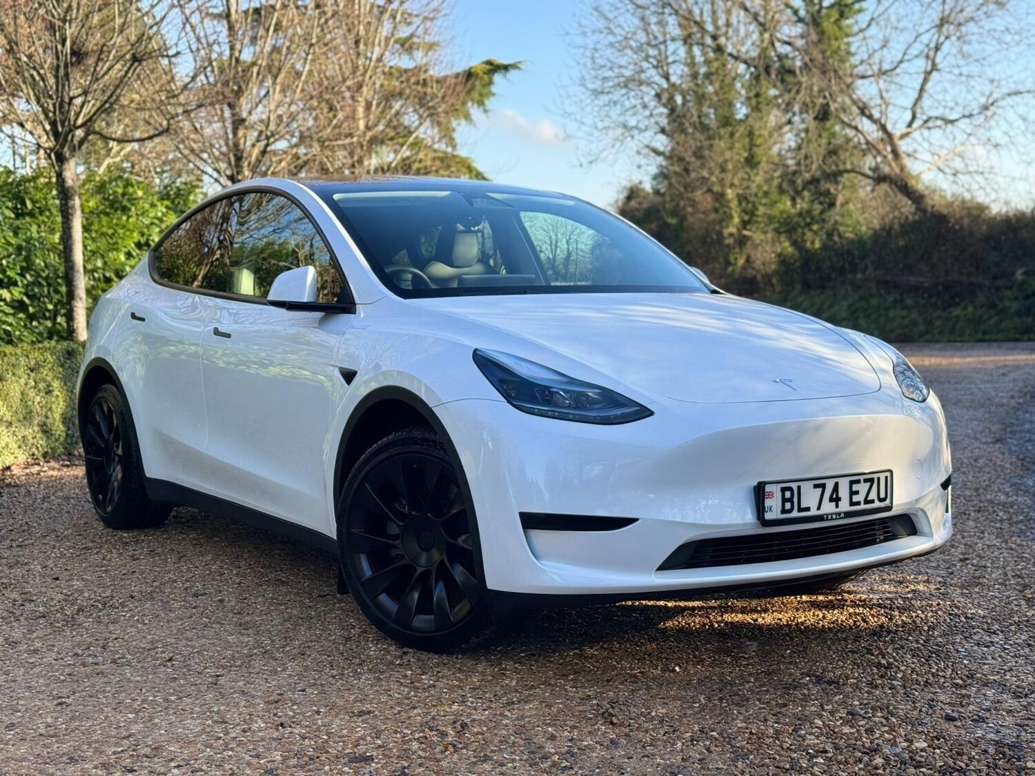 Used Tesla Model Y for sale - 77738262: Photo 33