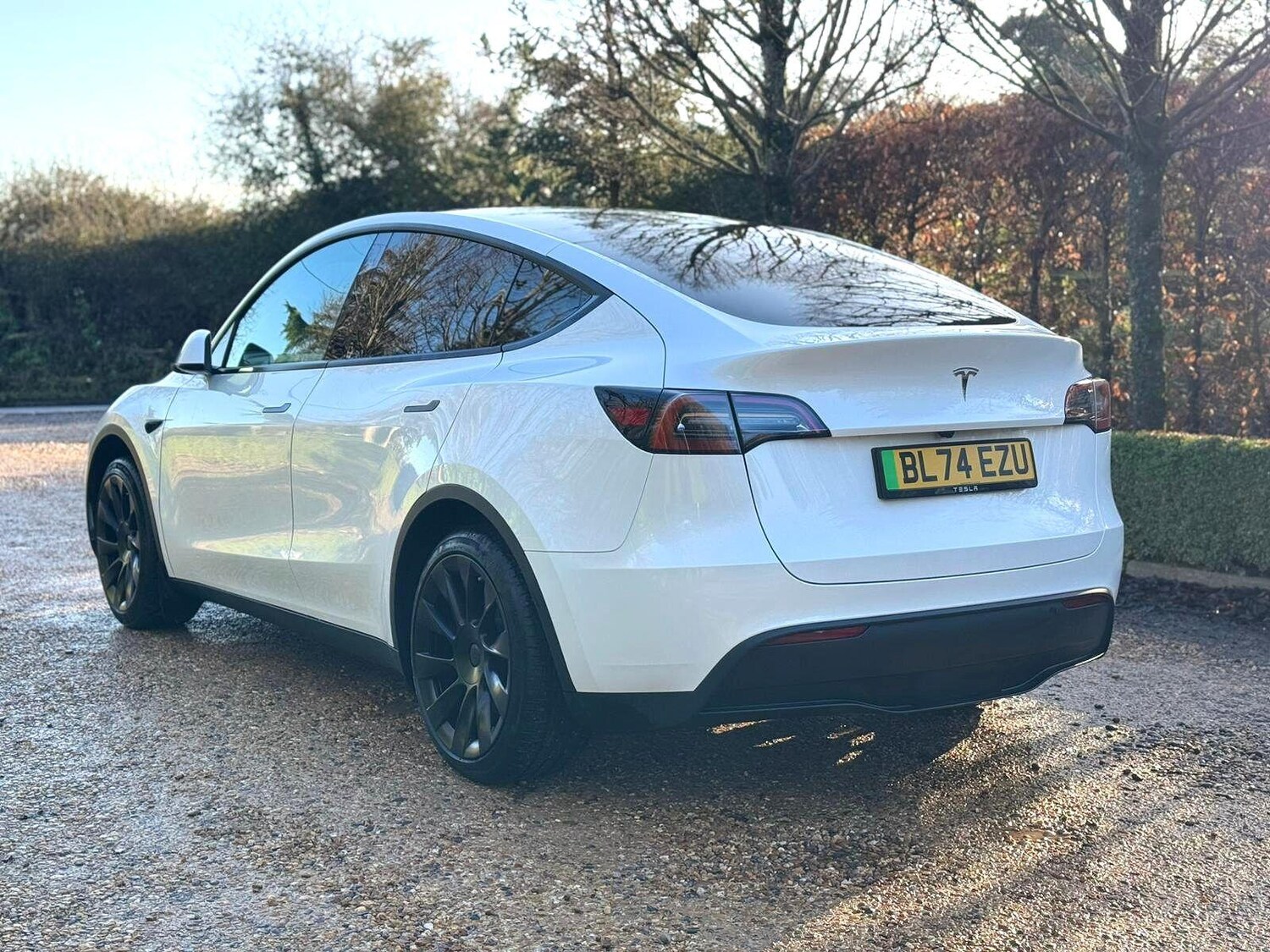 Used Tesla Model Y for sale - 77738262: Photo 7