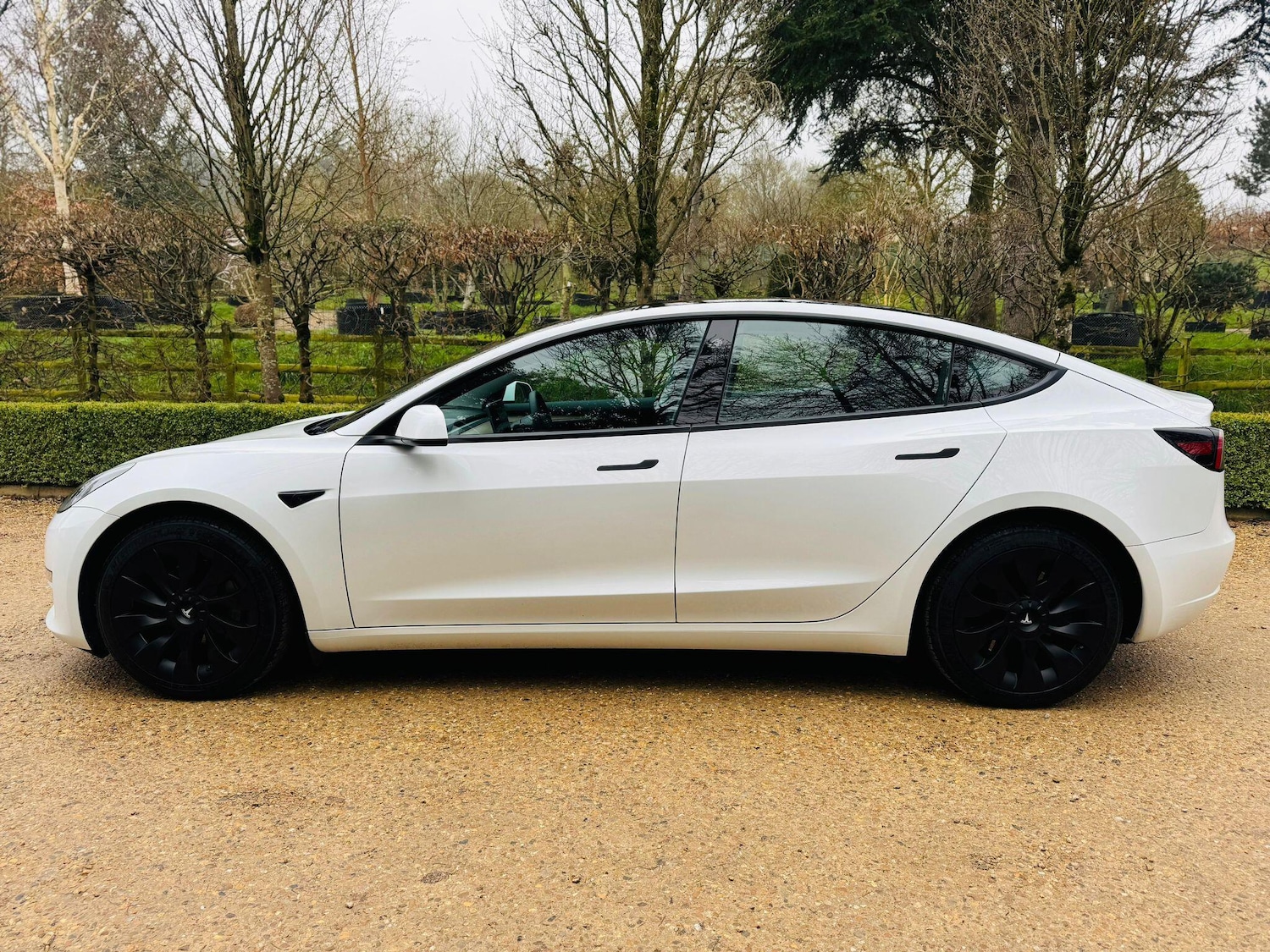 Used Tesla Model 3 2023 for sale - 78072518: Photo 8