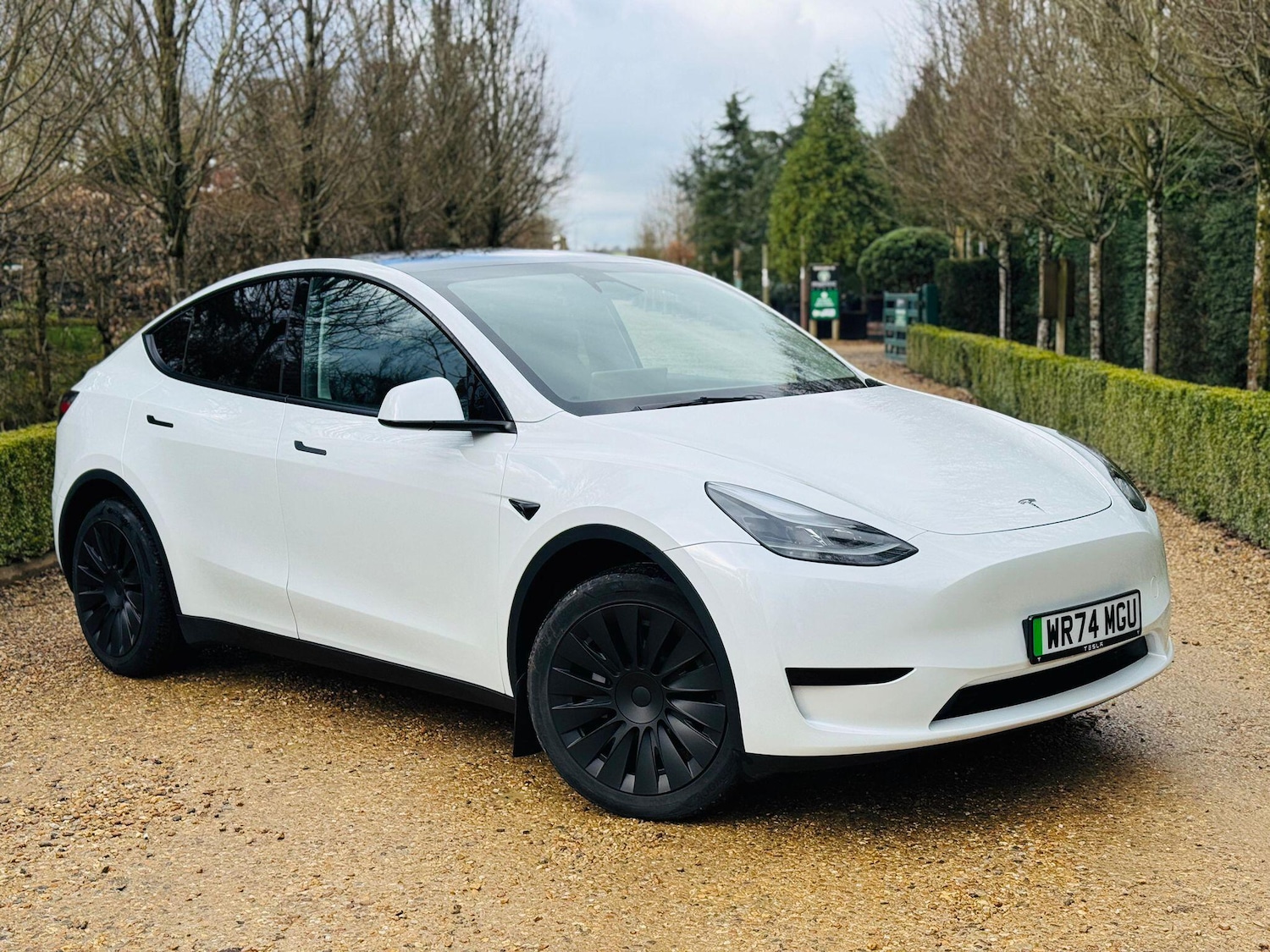Used Tesla Model Y 2024 for sale - 77722824: Photo 2