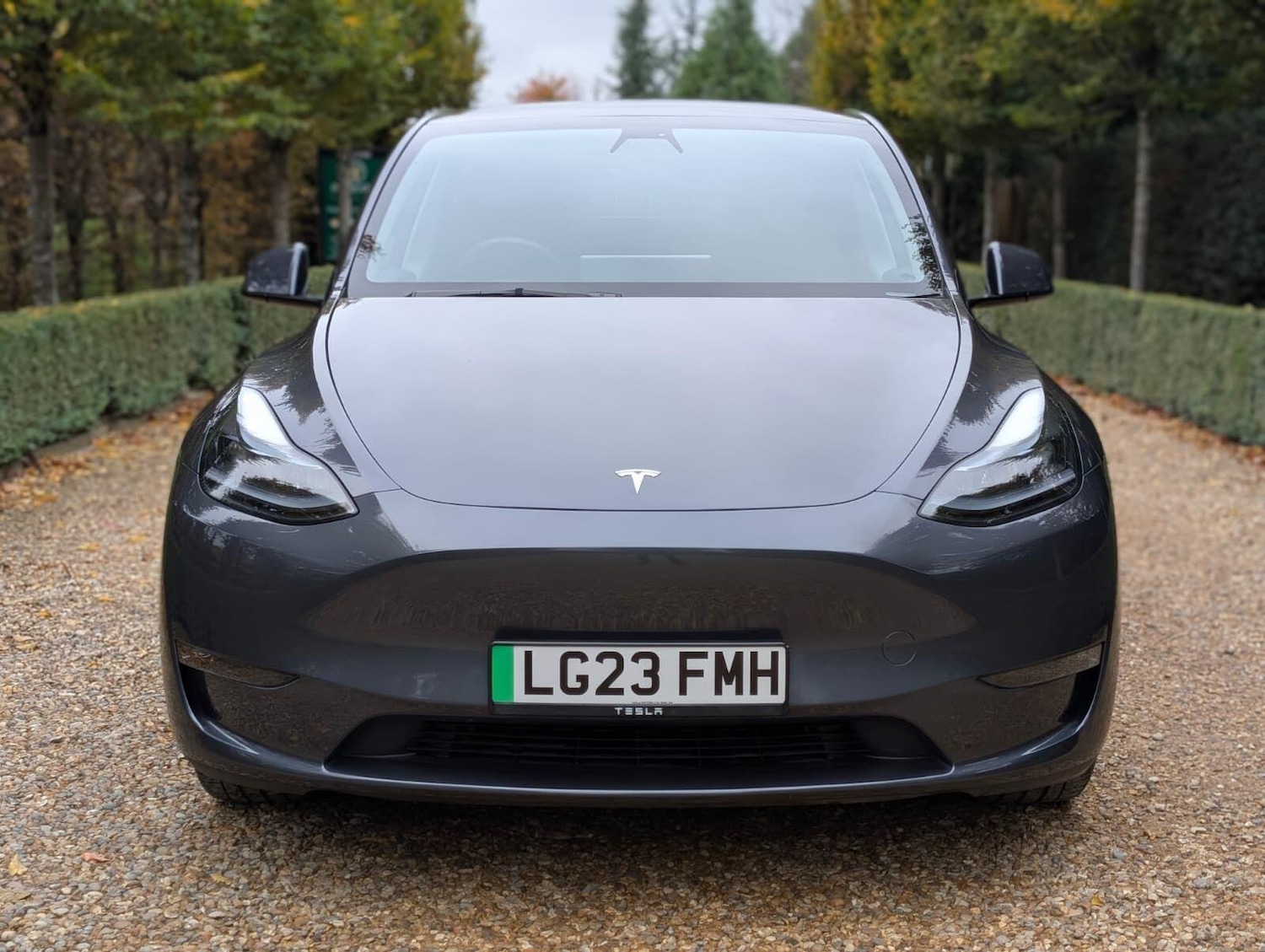 Used Tesla Model Y 2023 for sale - 76561794: Photo 3