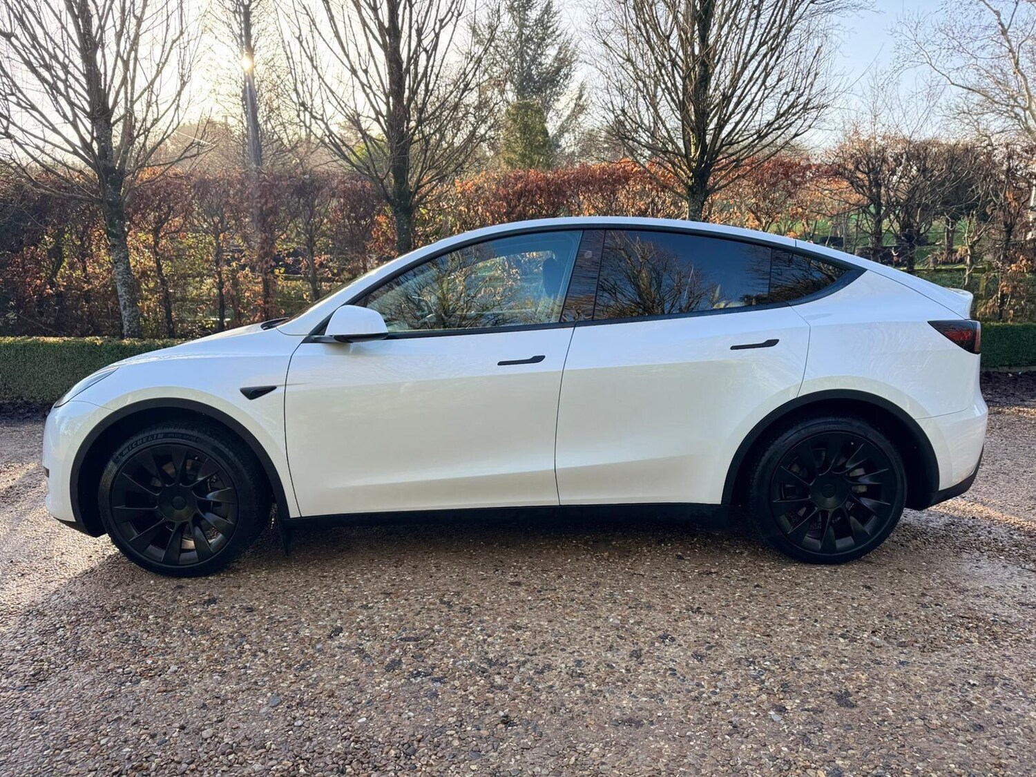 Used Tesla Model Y 2024 for sale - 77496762: Photo 9
