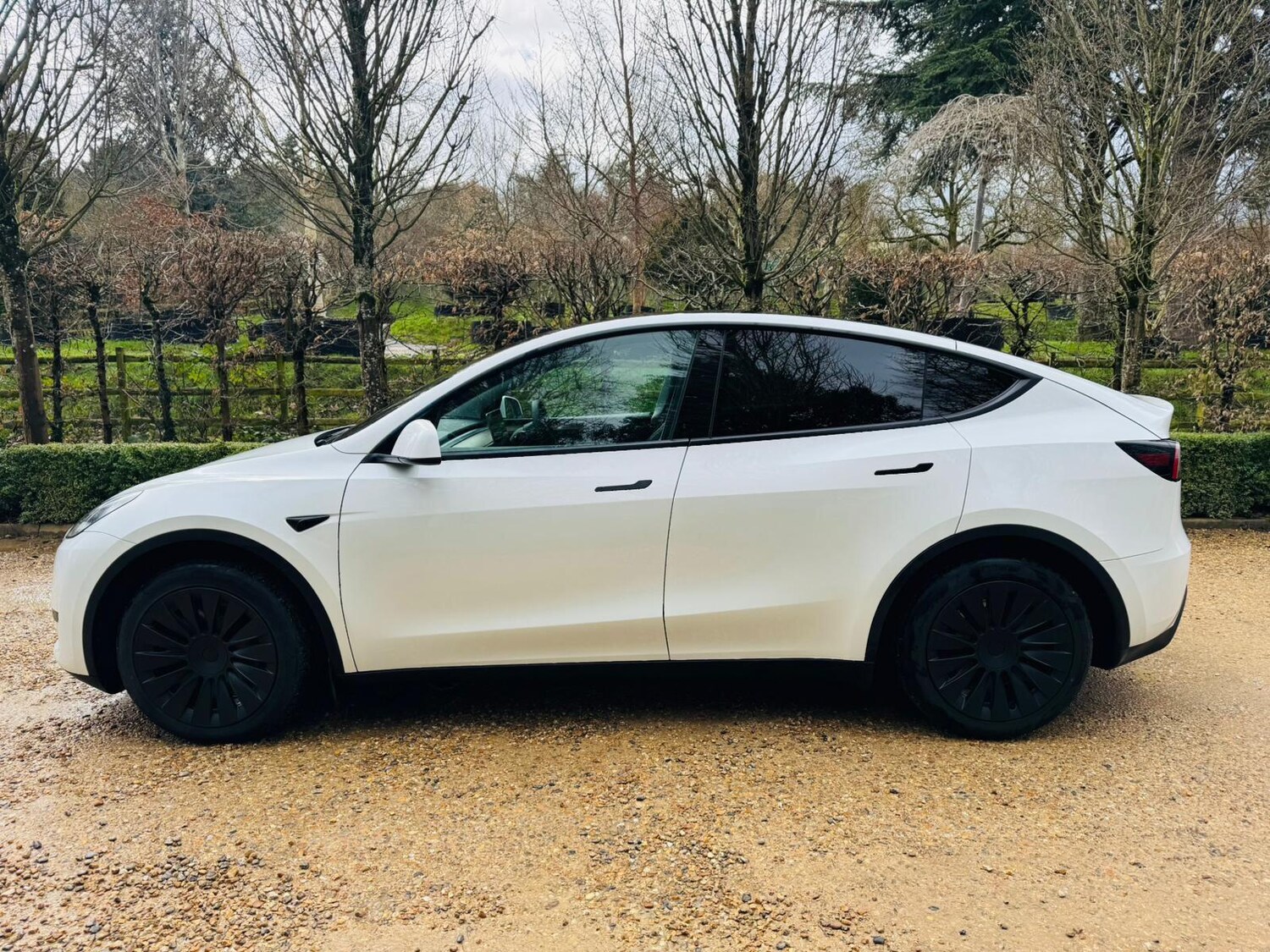 Used Tesla Model Y 2024 for sale - 77970165: Photo 8