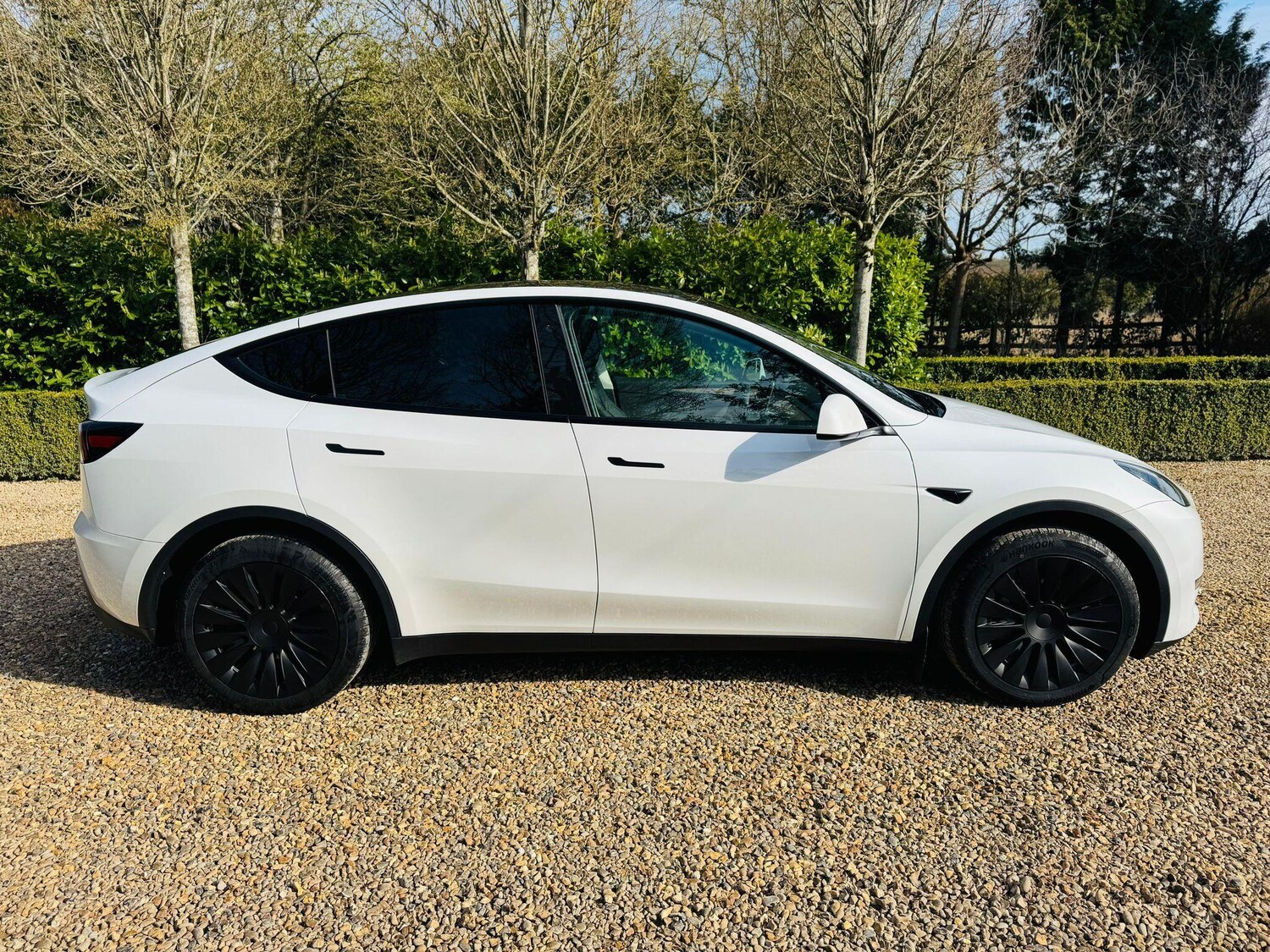 Used Tesla Model Y 2023 for sale - 77957620: Photo 10