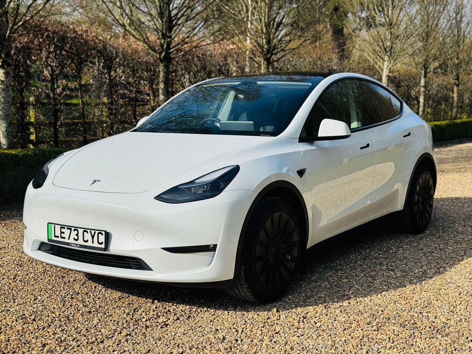 Used Tesla Model Y 2023 for sale - 77957620: Photo 3