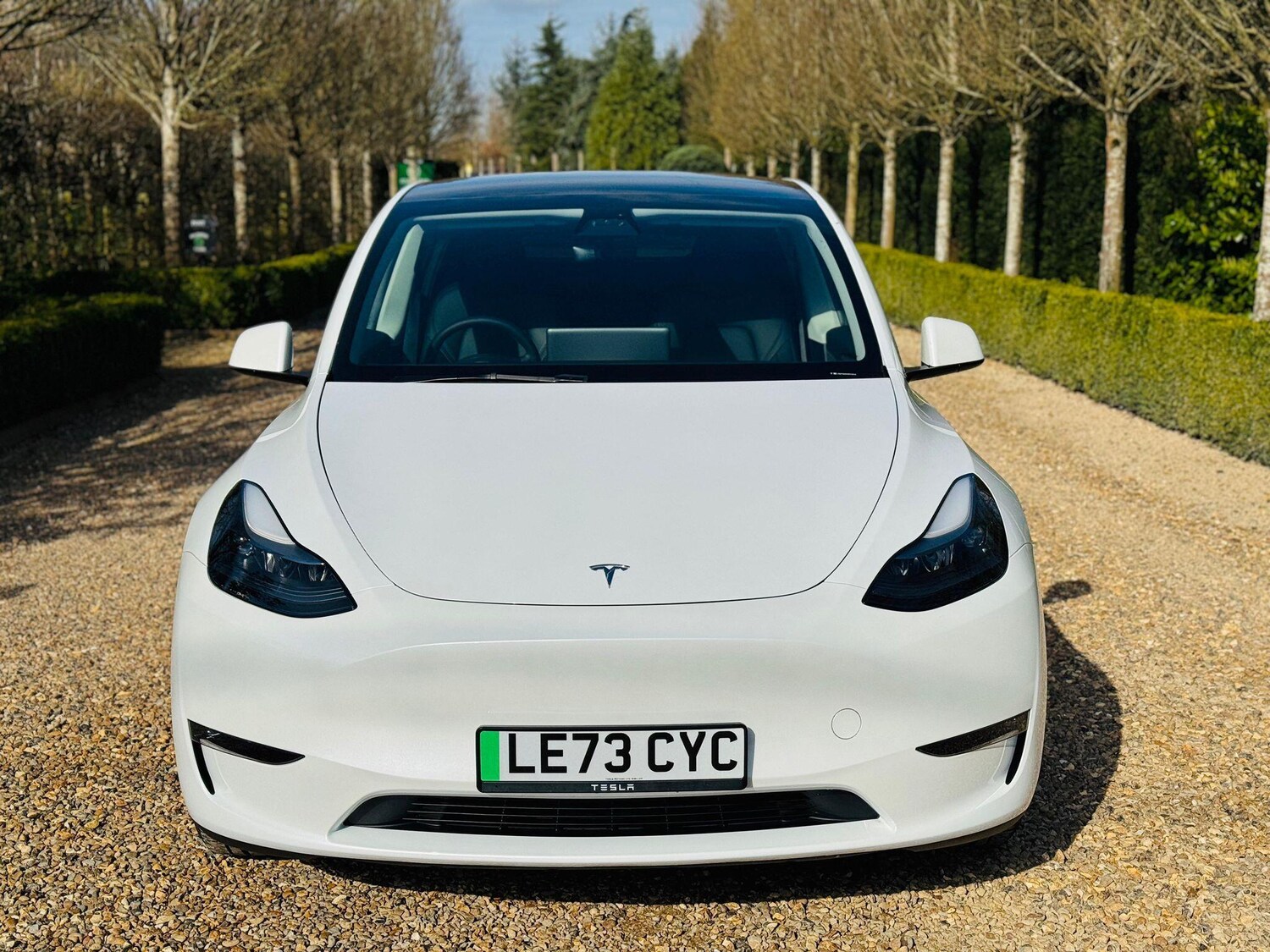 Used Tesla Model Y 2023 for sale - 77957620: Photo 6