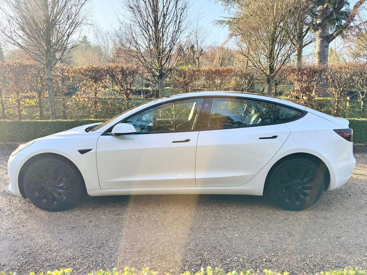 Used Tesla Model 3 for sale - 77883523: Photo 8