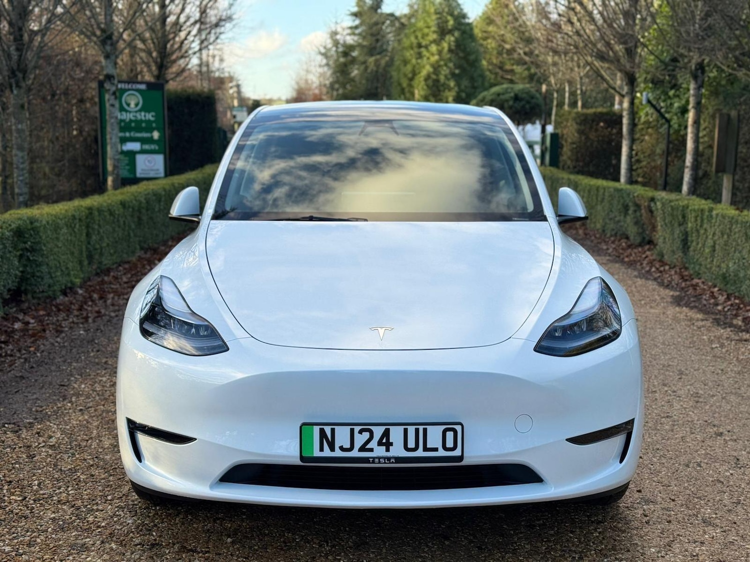 Used Tesla Model Y 2024 for sale - 77119946: Photo 3