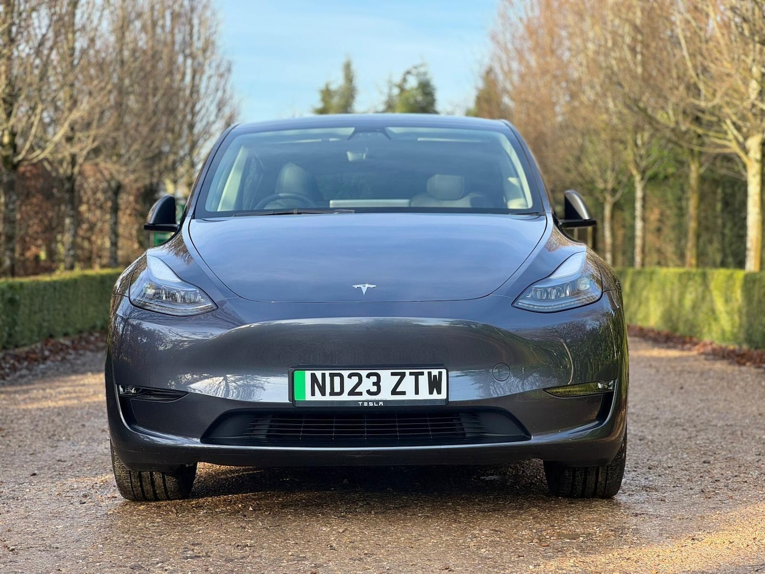 Used Tesla Model Y for sale - 77057300: Photo 3