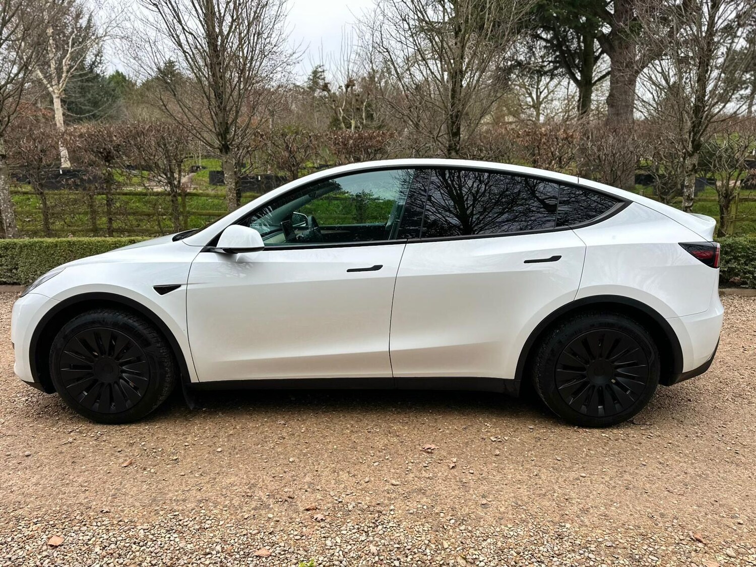 Used Tesla Model Y for sale - 77824641: Photo 8