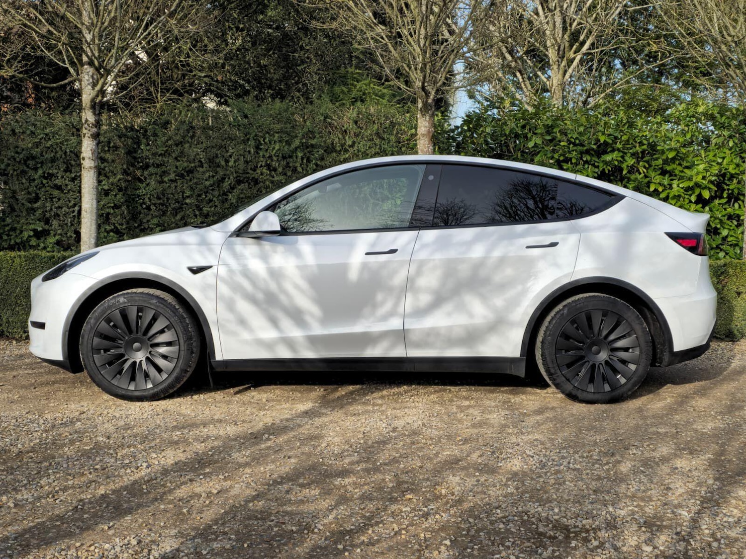 Used Tesla Model Y 2023 for sale - 77957396: Photo 10