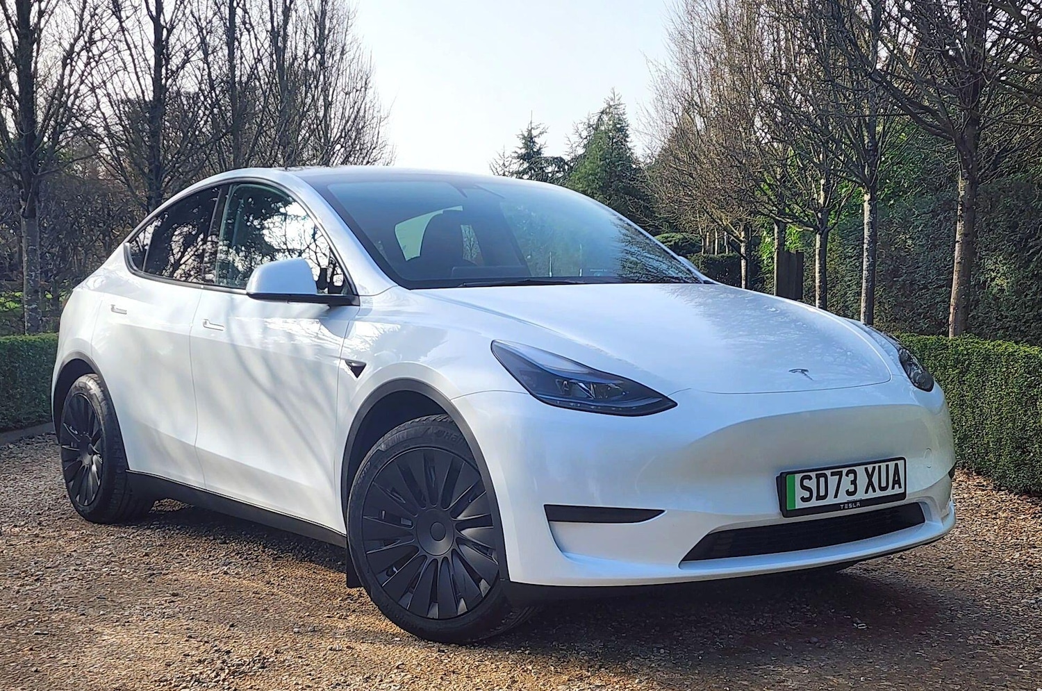 Used Tesla Model Y 2023 for sale - 77957396: Photo 31