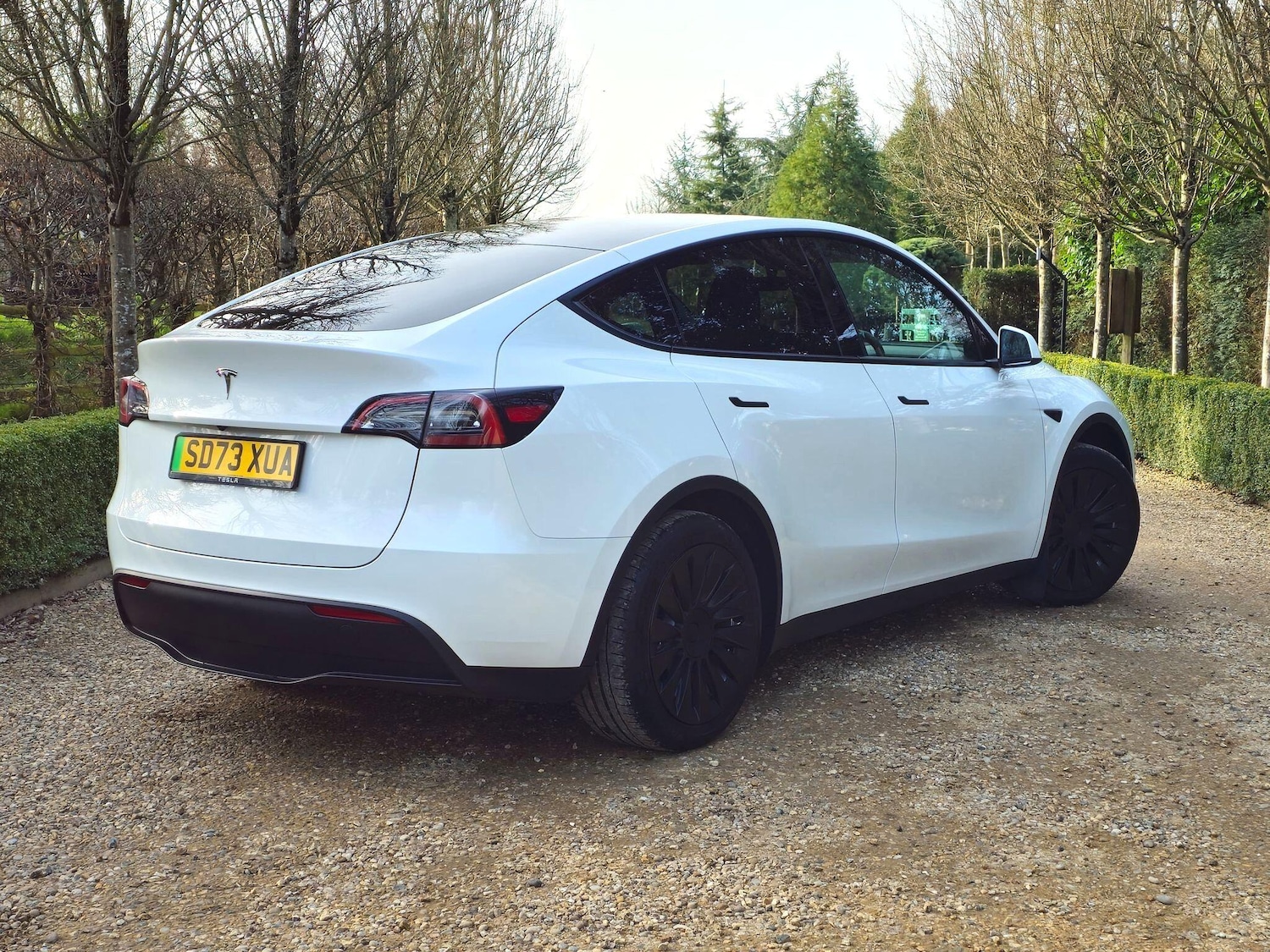 Used Tesla Model Y 2023 for sale - 77957396: Photo 6