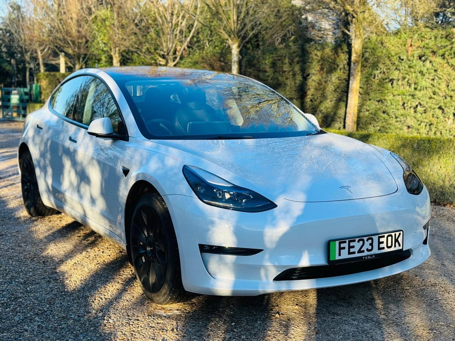 Used Tesla Model 3 for sale - 77191381: Photo 25