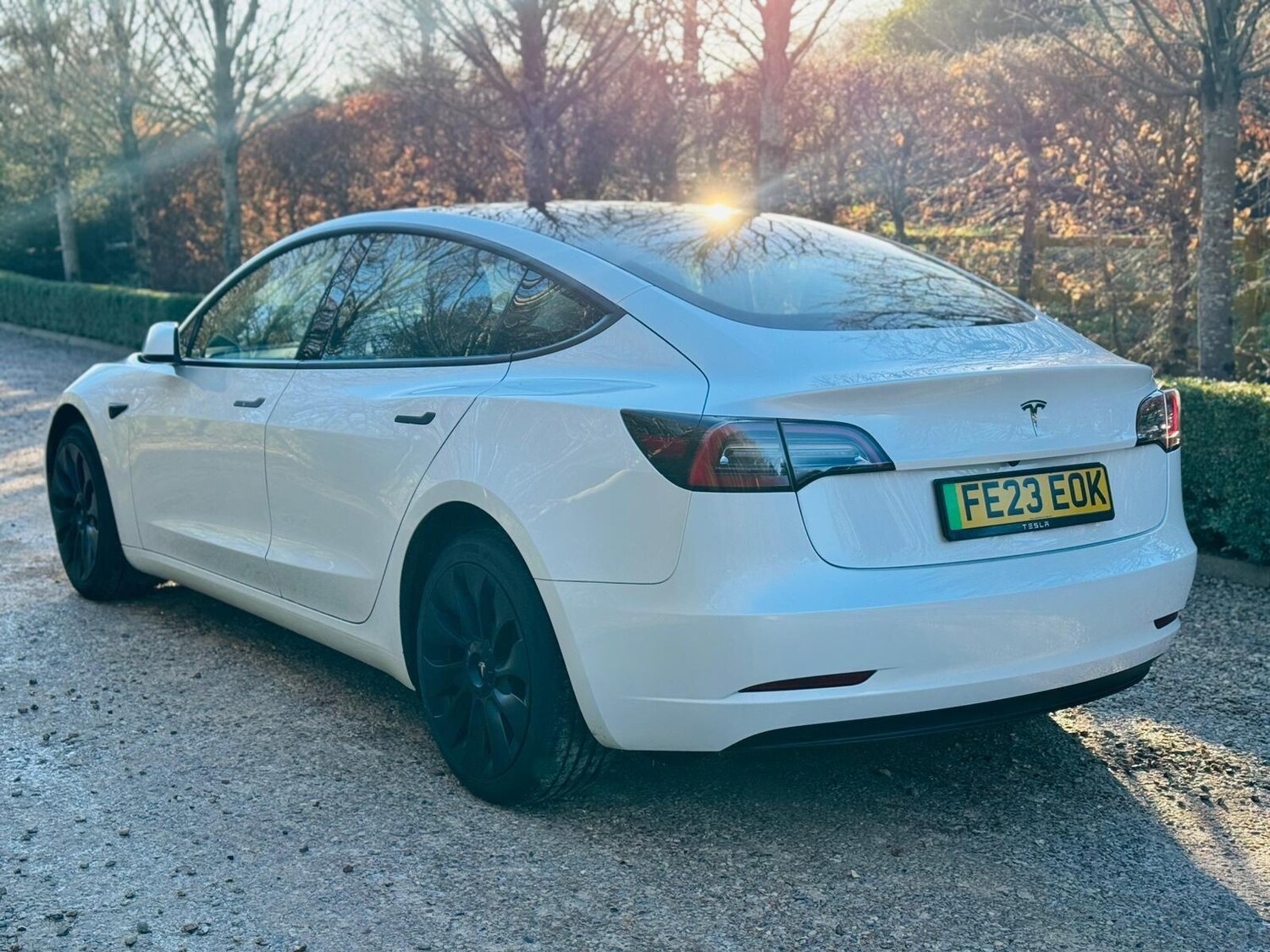 Used Tesla Model 3 for sale - 77191381: Photo 29