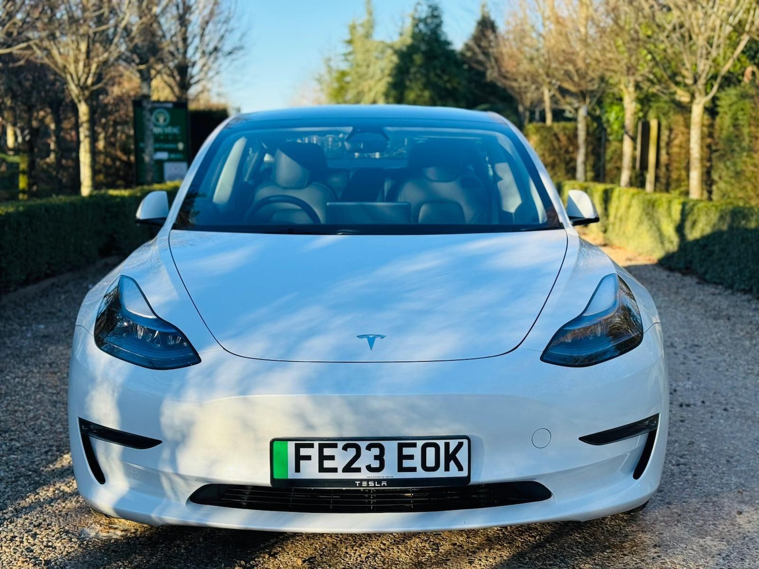 Used Tesla Model 3 for sale - 77191381: Photo 3