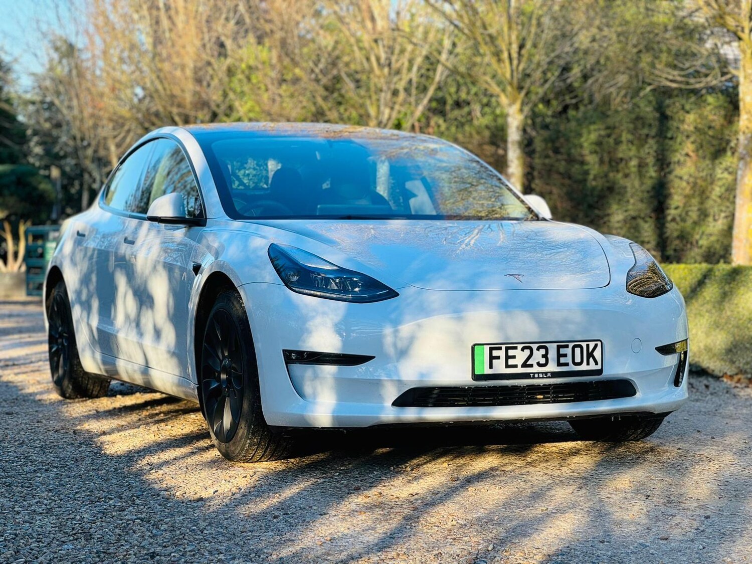 Used Tesla Model 3 for sale - 77191381: Photo 30