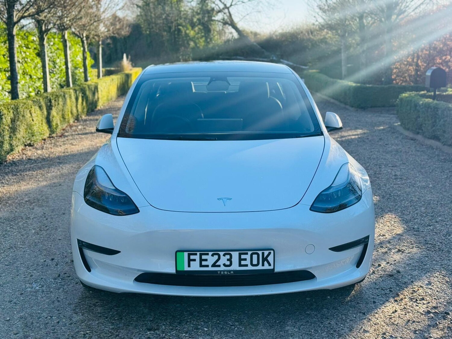Used Tesla Model 3 for sale - 77191381: Photo 31