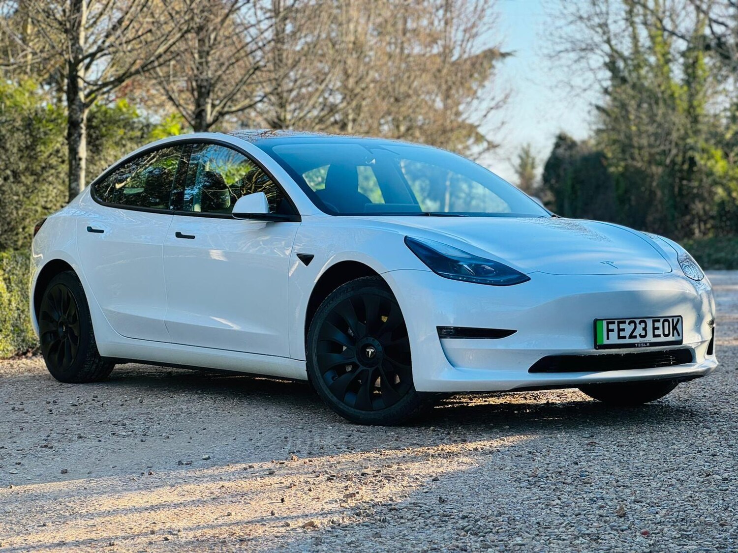 Used Tesla Model 3 for sale - 77191381: Photo 33