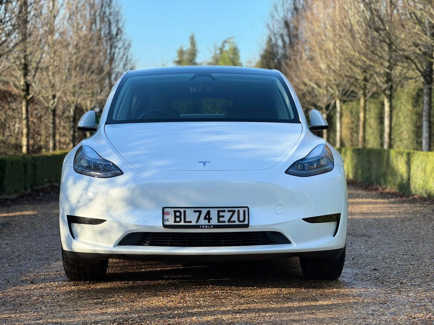 Used Tesla Model Y 2024 for sale - 77091283: Photo 3