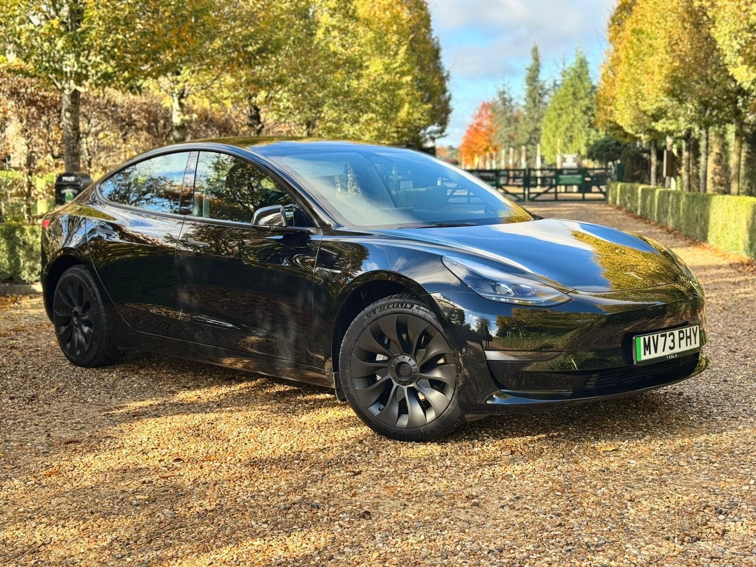 Used Tesla Model 3 2023 for sale - 76562059: Photo 29