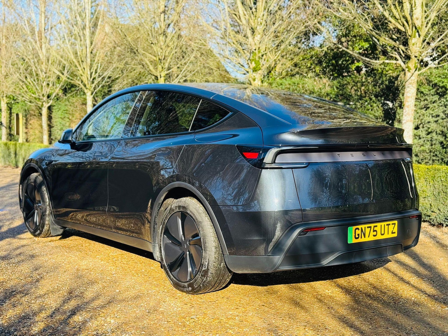 Used Tesla Model Y 2025 for sale - 78006678: Photo 6
