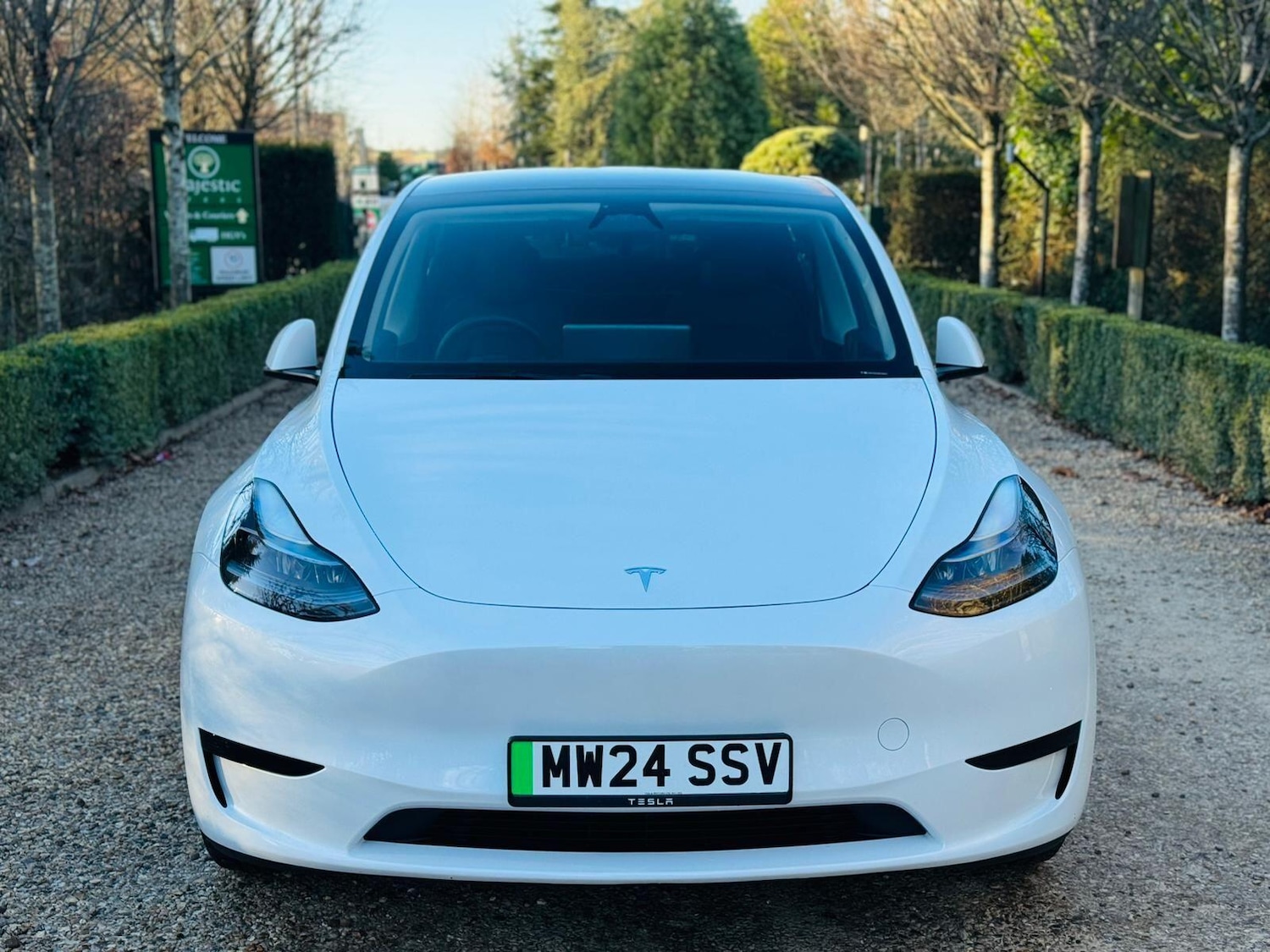 Used Tesla Model Y 2024 for sale - 77097806: Photo 3