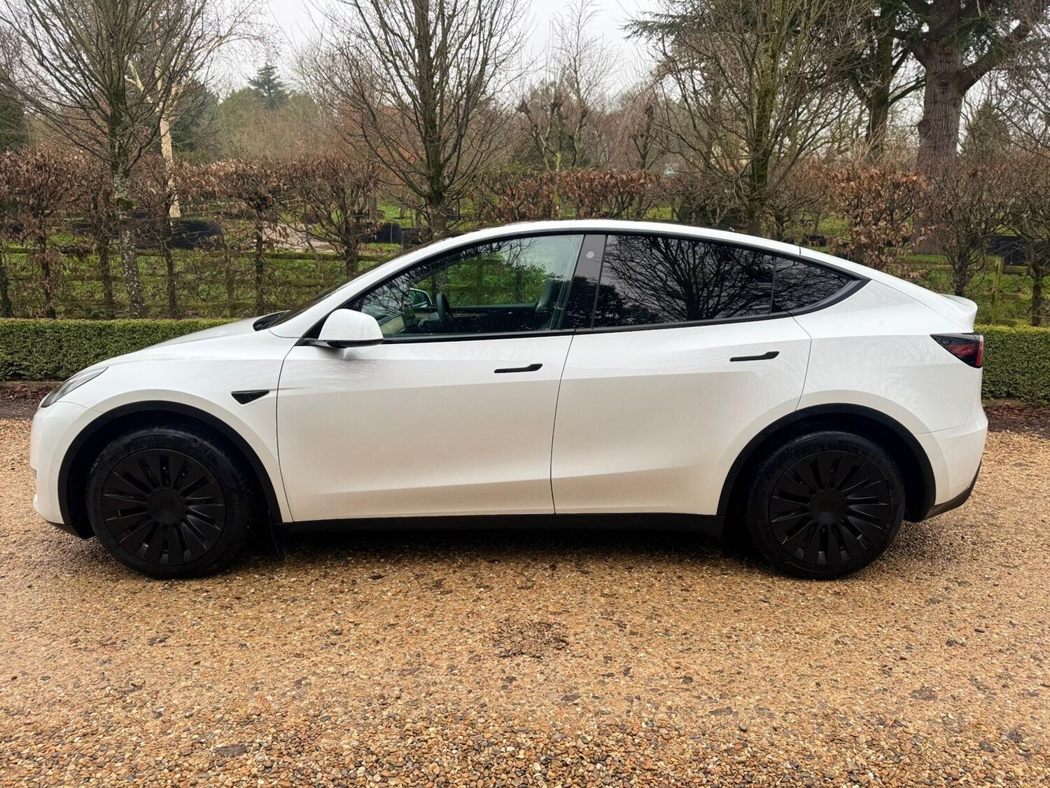 Used Tesla Model Y 2023 for sale - 77468169: Photo 8