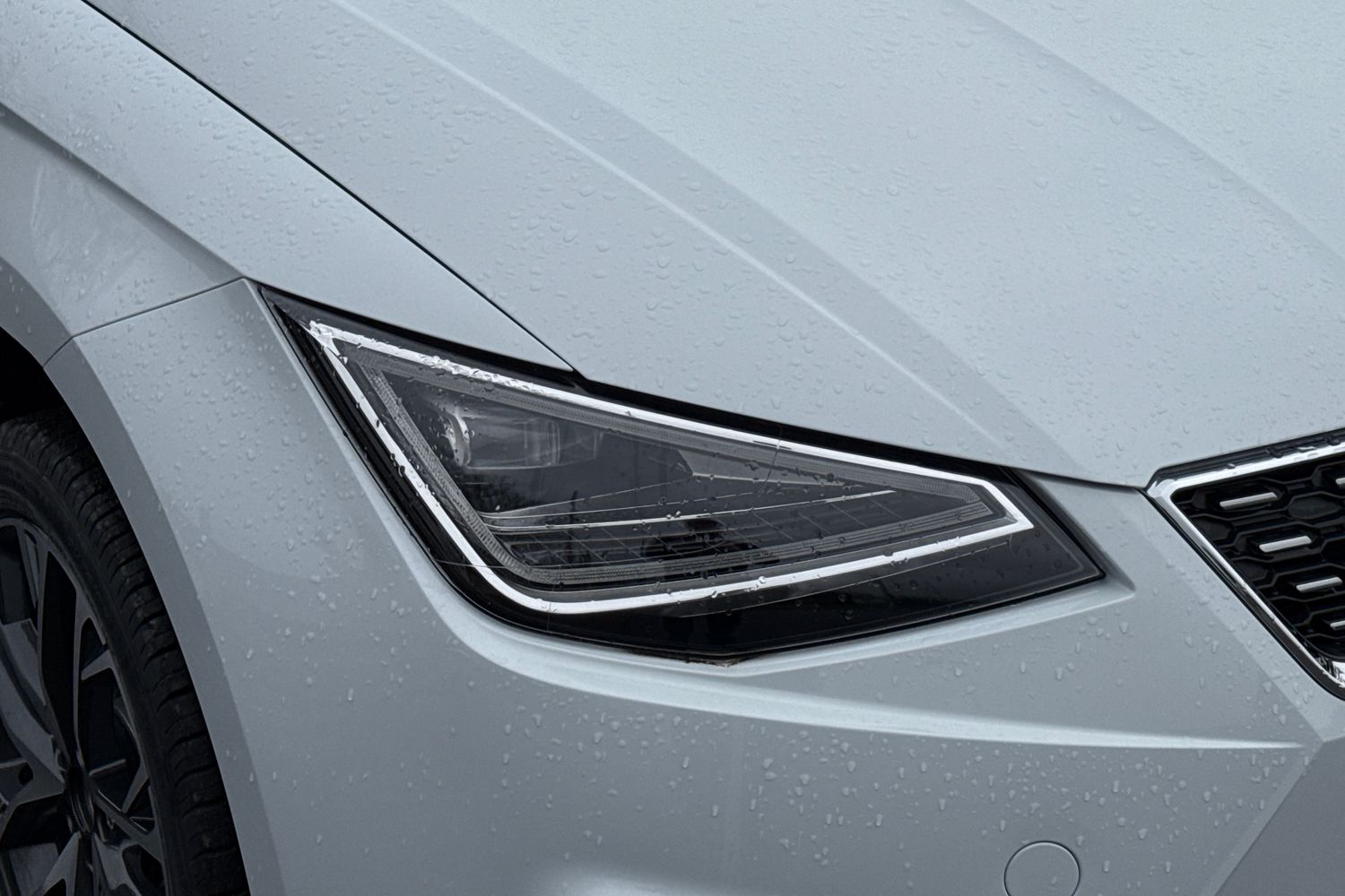 Used SEAT Ibiza 2025 for sale - 77571006: Photo 34