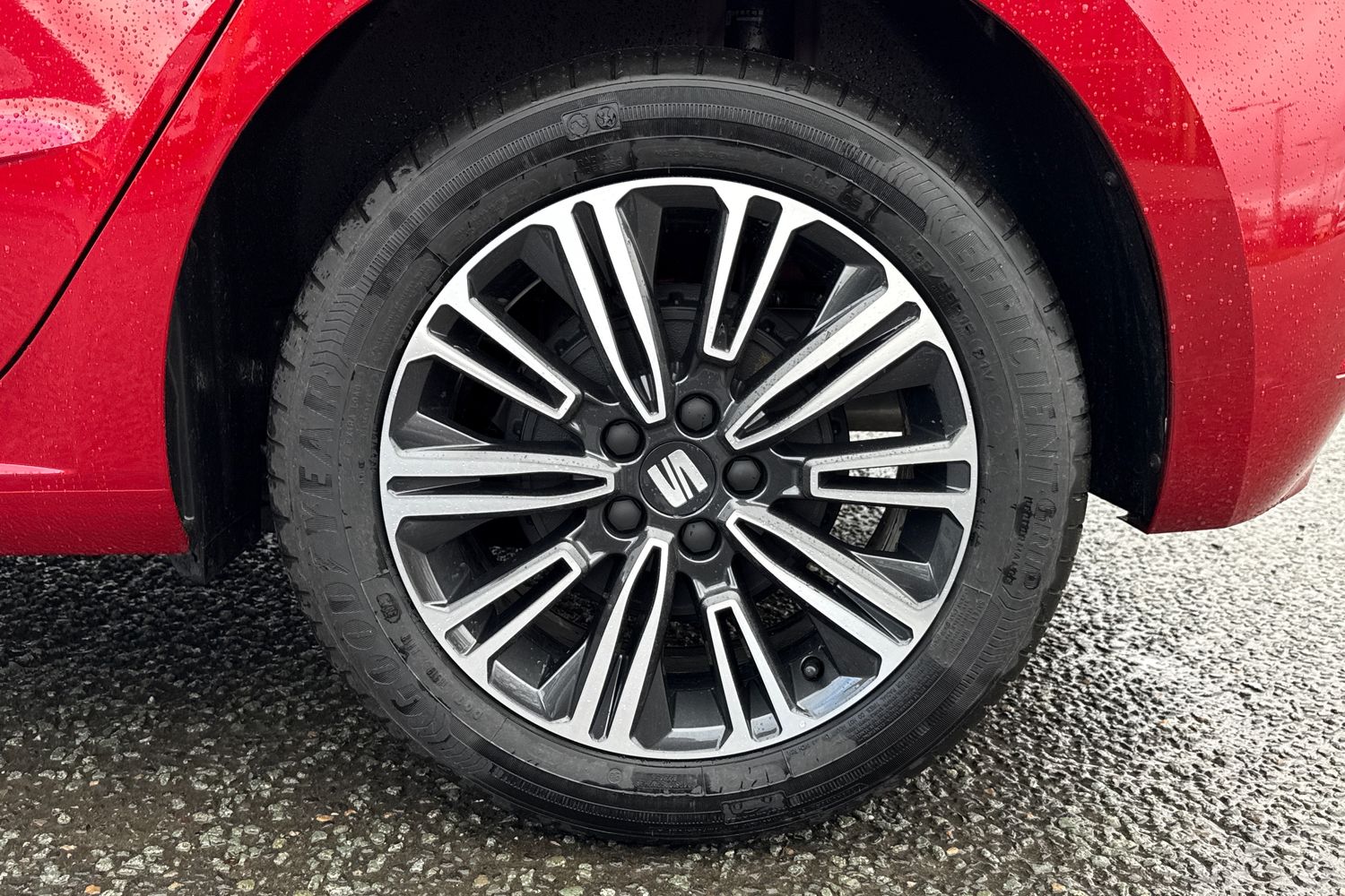 Used SEAT Ibiza 2025 for sale - 77706989: Photo 11