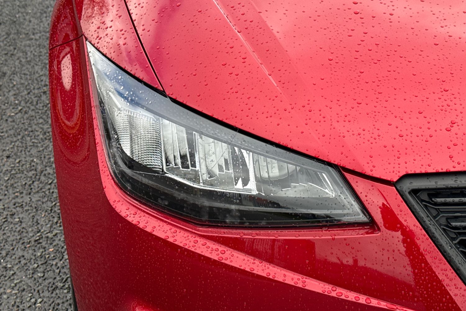 Used SEAT Ibiza 2025 for sale - 77706989: Photo 35