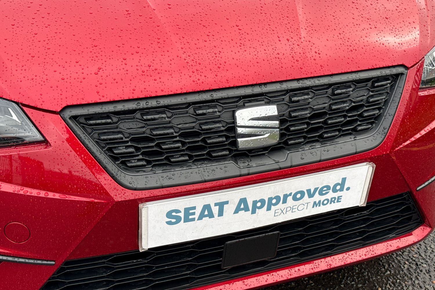 Used SEAT Ibiza 2025 for sale - 77706989: Photo 36