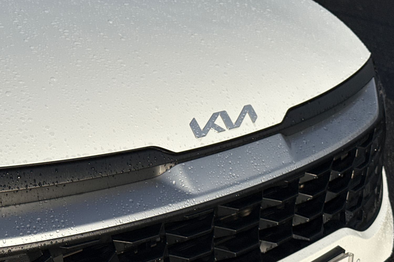 Used Kia Sportage 2023 for sale - 76929148: Photo 40